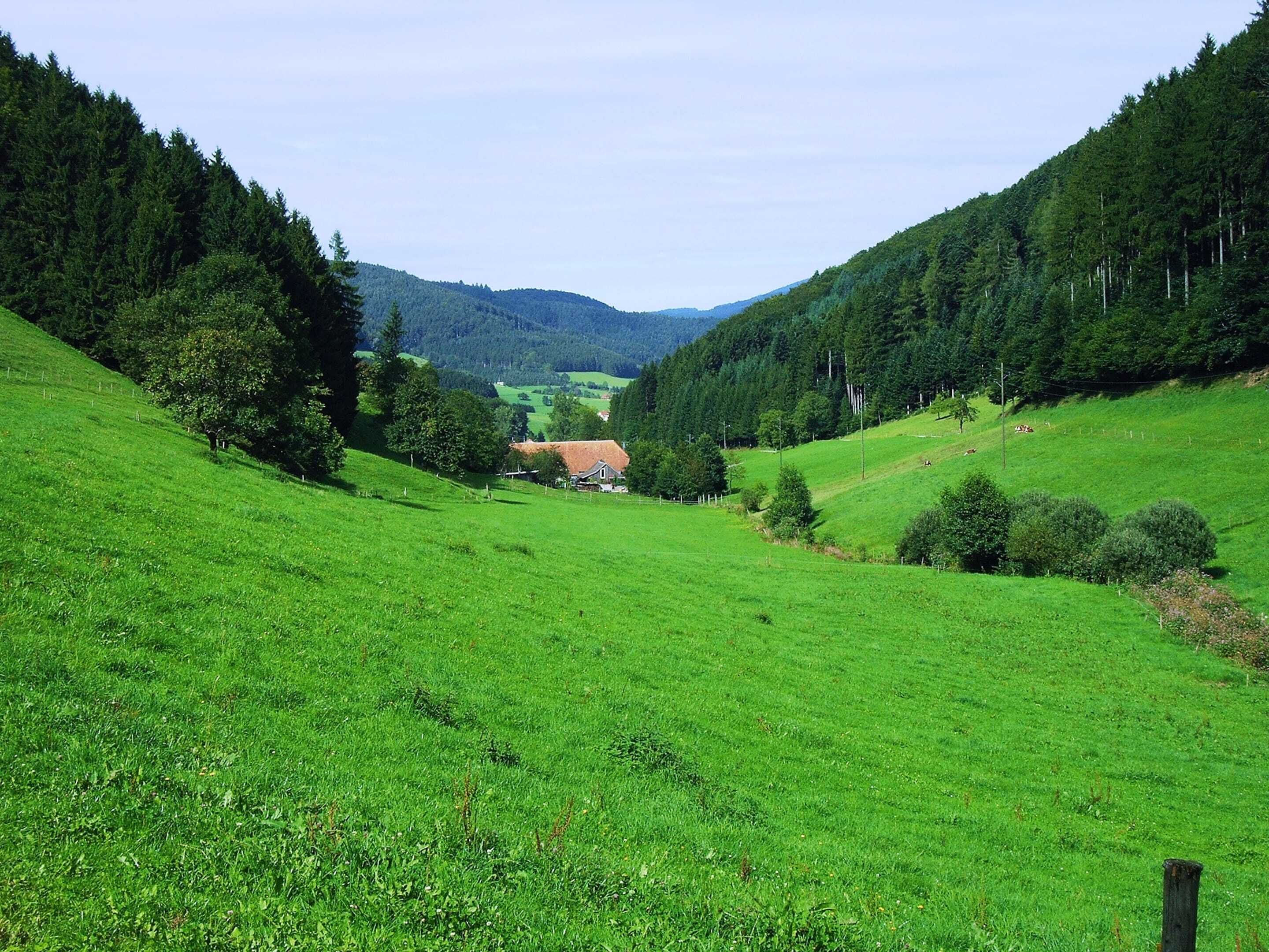 Un paisaje rural con una casa rodeada de campos verdes exuberantes y colinas boscosas.