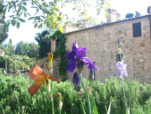 House | Interior detail