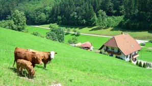 Un paisaje rural con una casa, una vaca y un campo verde exuberante.