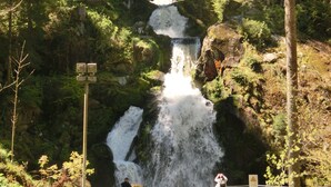 Una cascada en un área boscosa con un puente de madera al fondo.