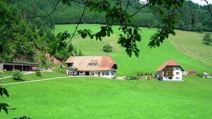 Paisaje rural con dos casas en un campo verde, rodeado de árboles y un bosque.