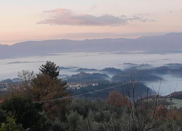 住宿景觀