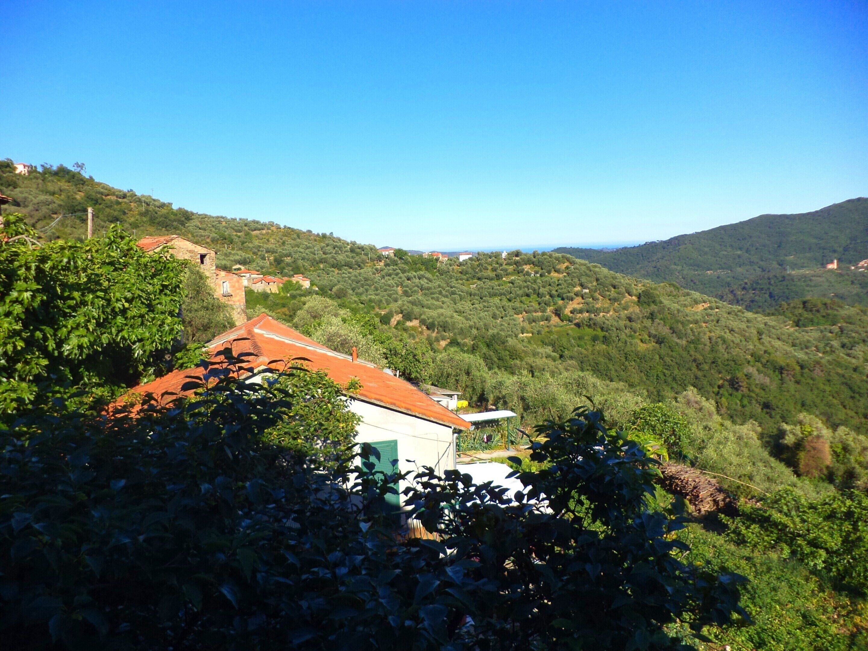 Una propiedad en una ladera con un edificio de techo rojo, rodeada de abundante vegetación y colinas.
