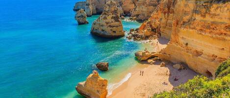 Ferienhaus | Blick von der Unterkunft