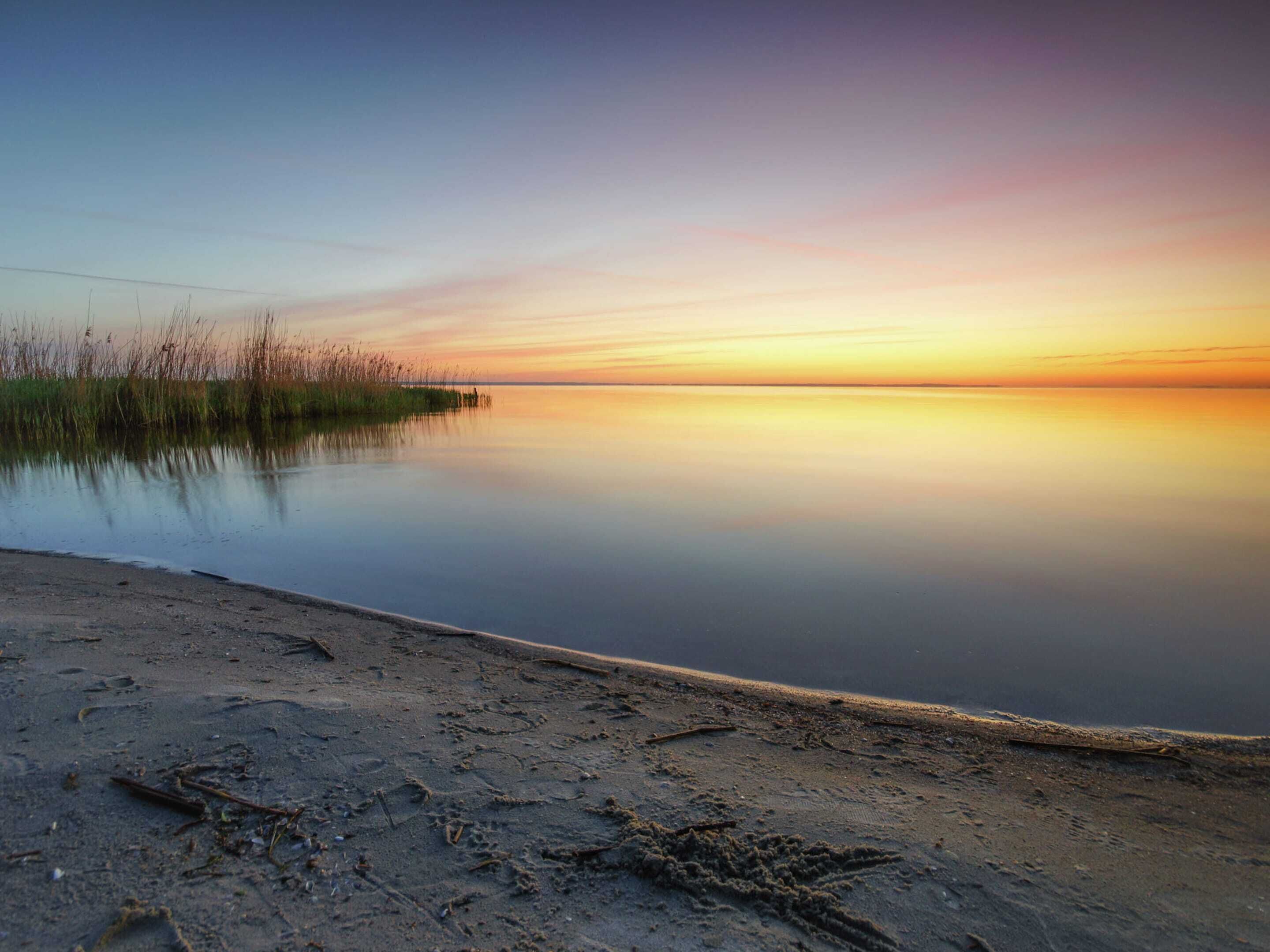 A calm lake at sunset with a sandy shore and tall grasses.