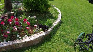 Apartment | Exterior