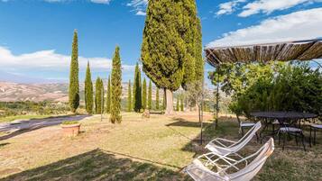 Um jardim com pérgola, área de estar ao ar livre e árvores altas.