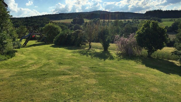 Ein grasbewachsenes Feld mit Bäumen und einer entfernten Hügelkette.
