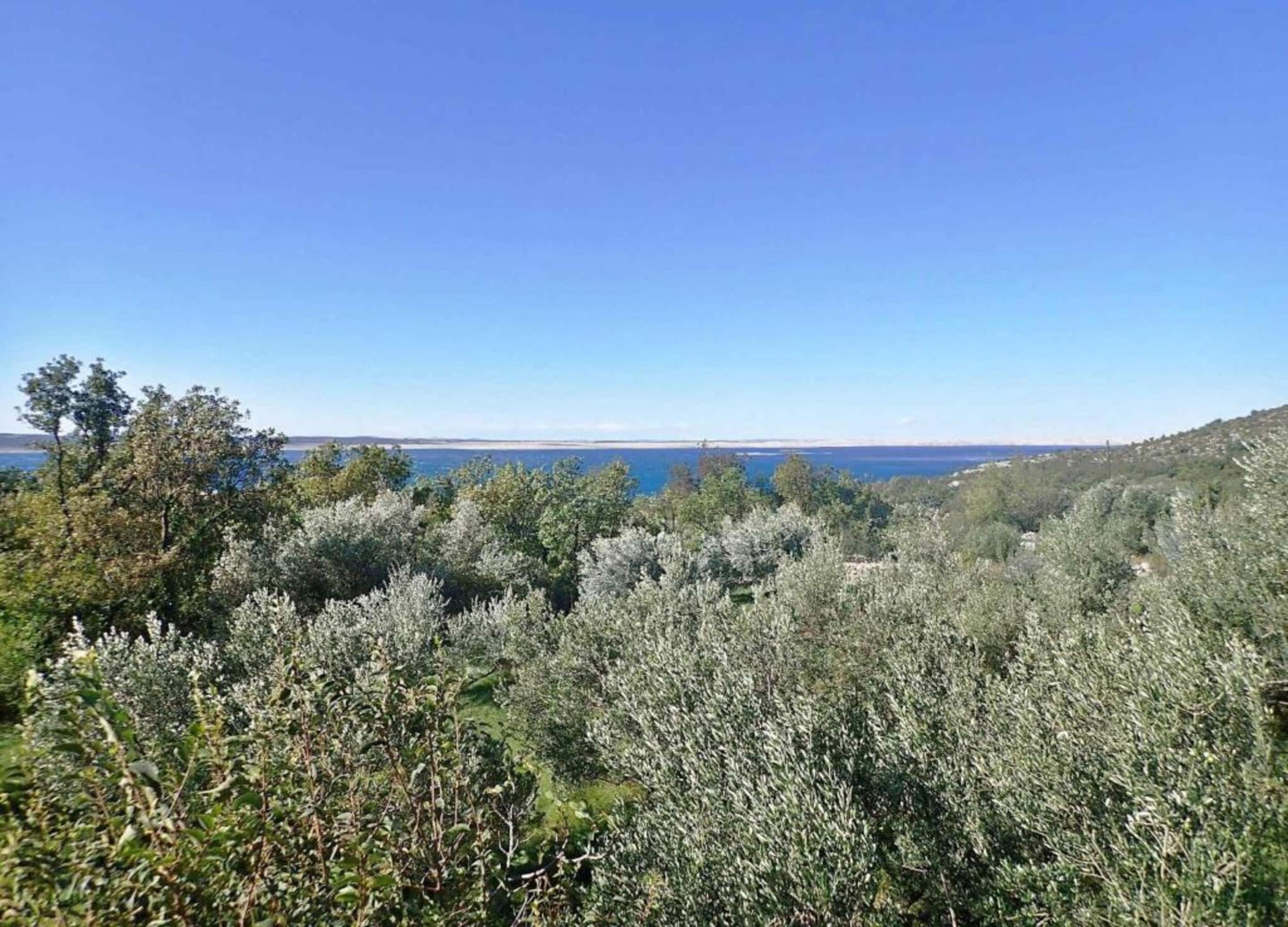 A coastal landscape with dense shrubbery and a clear view of the sea.
