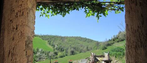 Appartement | DĂ©tail de lâintĂ©rieur