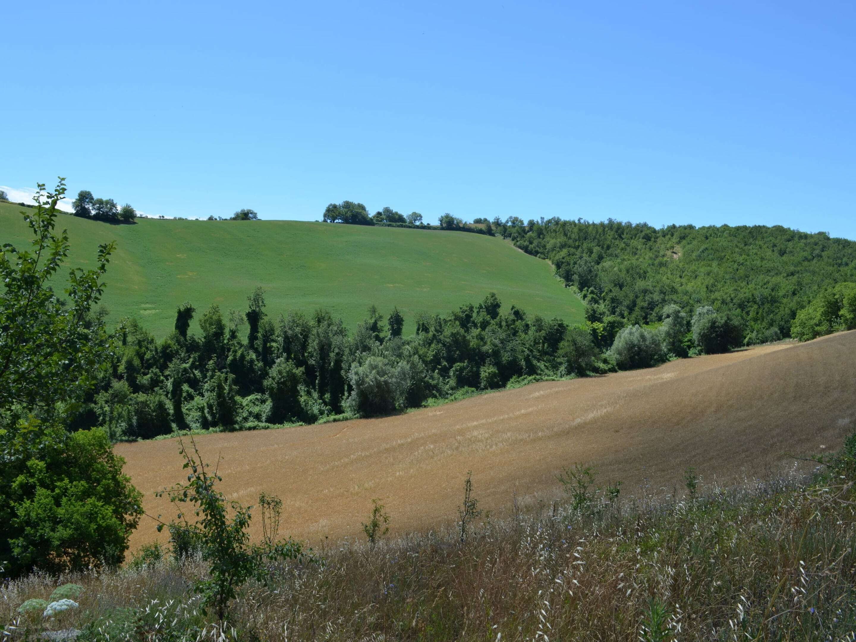 A rural landscape with rolling green hills and a field in the foreground.