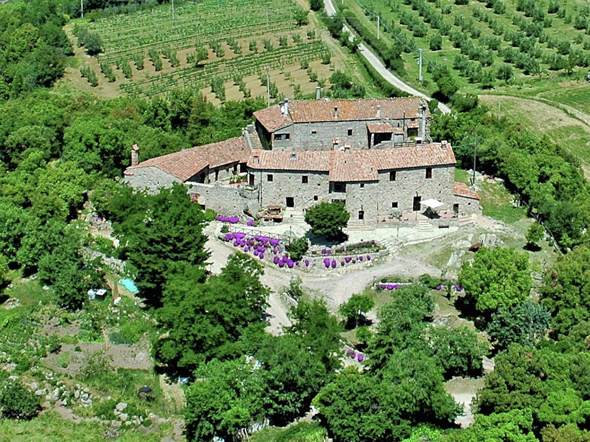 Esterni