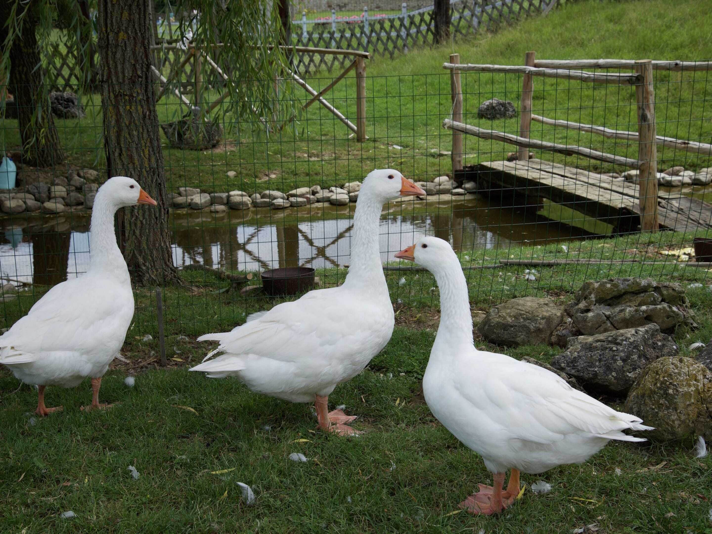 Apartment | Property grounds