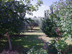 Interior detail - Country House in Rakalj With Scenic Sea Views (Marcana)