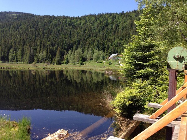 A calm lake with a wooden dock extending into the water, surrounded by dense forest and a small house in the background.