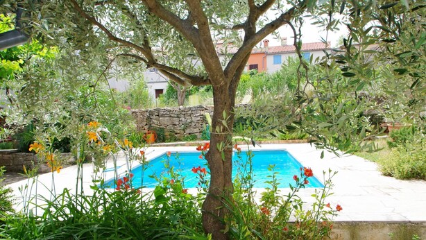 A swimming pool surrounded by lush greenery and a stone wall. - Holiday Villa in Village Rakalj (Marcana)