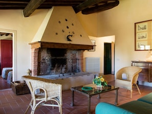 House | Living room | Fireplace