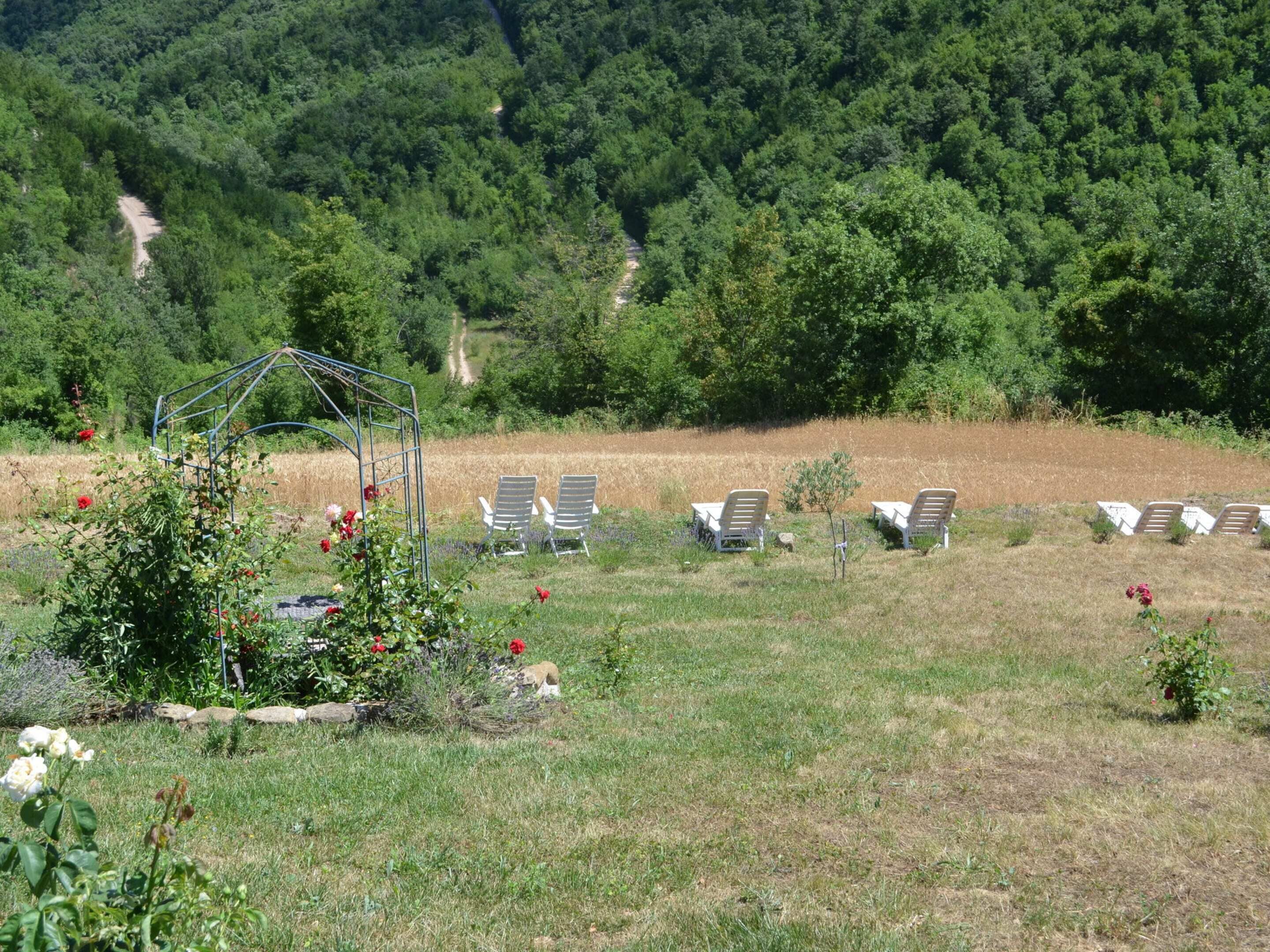 Taman