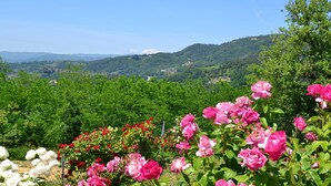 A garden with pink and white flowers, surrounded by green hills and a clear sky. - Cottage in Tuscany With Private Pool (Montecatini Terme)