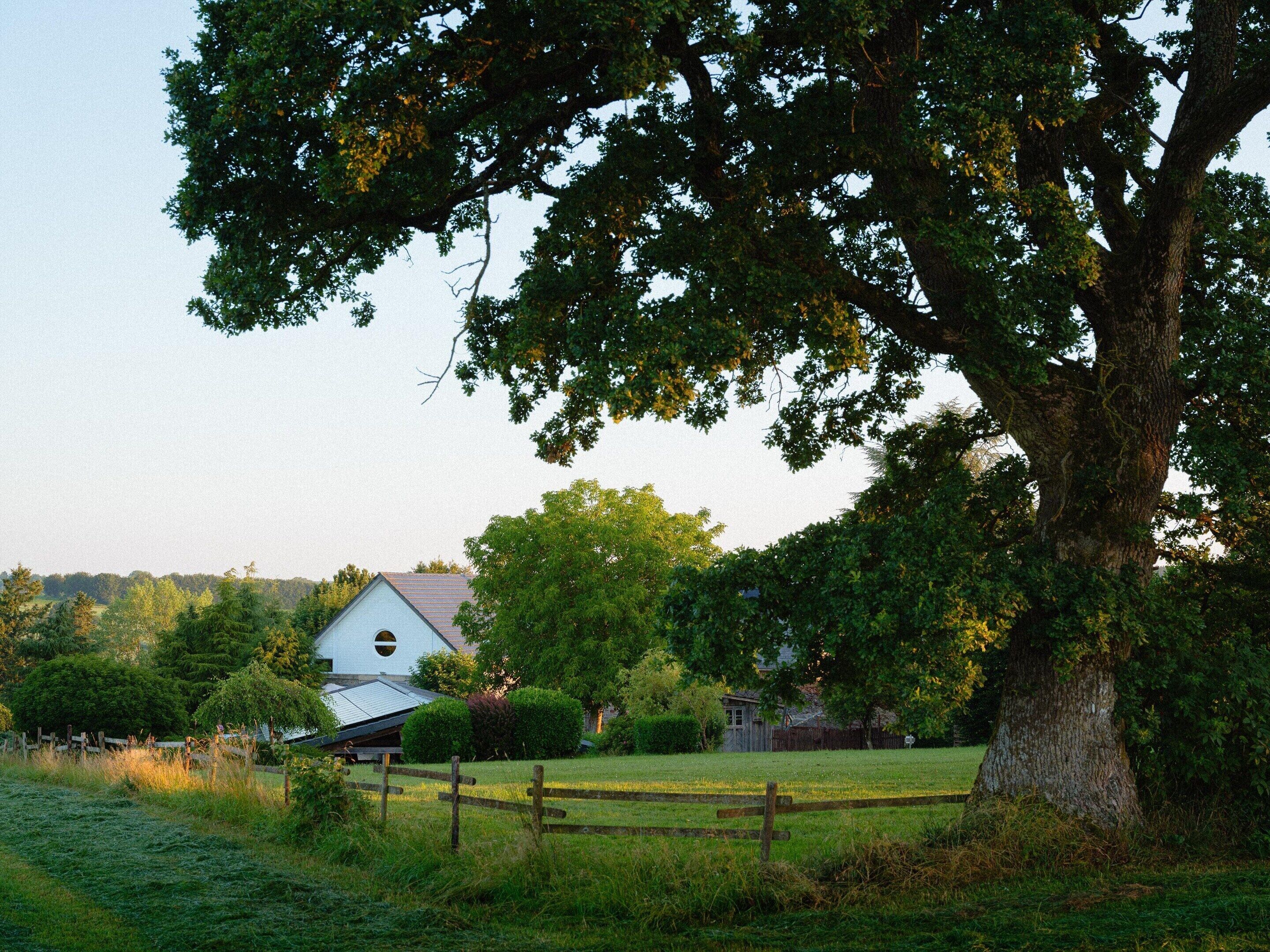 Un paysage rural avec un grand arbre, un bâtiment blanc doté d’un toit à pignon et un champ clôturé.