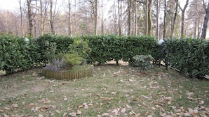 A well-maintained garden with neatly trimmed hedges and a grassy area with scattered fallen leaves. - Farmhouse in Verbania With Mountain Views (Verbania)