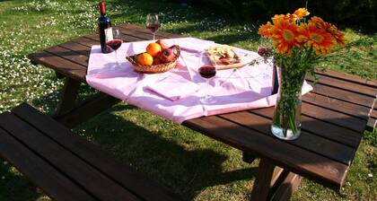 Authentic Pool House