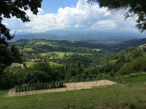Property grounds - Panoramic Accommodation in a Authentic Farmhouse Completely Renovated (Torresina)