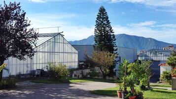 Ferienhaus | Blick von der Unterkunft