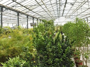 Ferienhaus | Blick von der Unterkunft