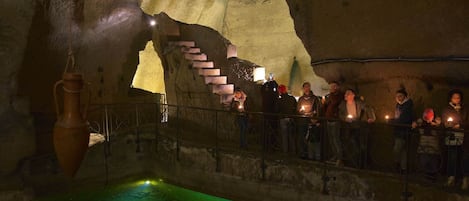 House | View from property