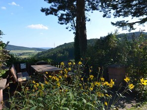Apartment | View from property - Ruhige Wohnung im Sauerland mit Terrasse (Schmallenberg)