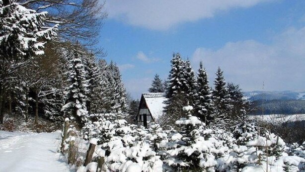 A snow-covered landscape with a traditional wooden house surrounded by trees. - Ruhige Wohnung im Sauerland mit Terrasse (Schmallenberg)