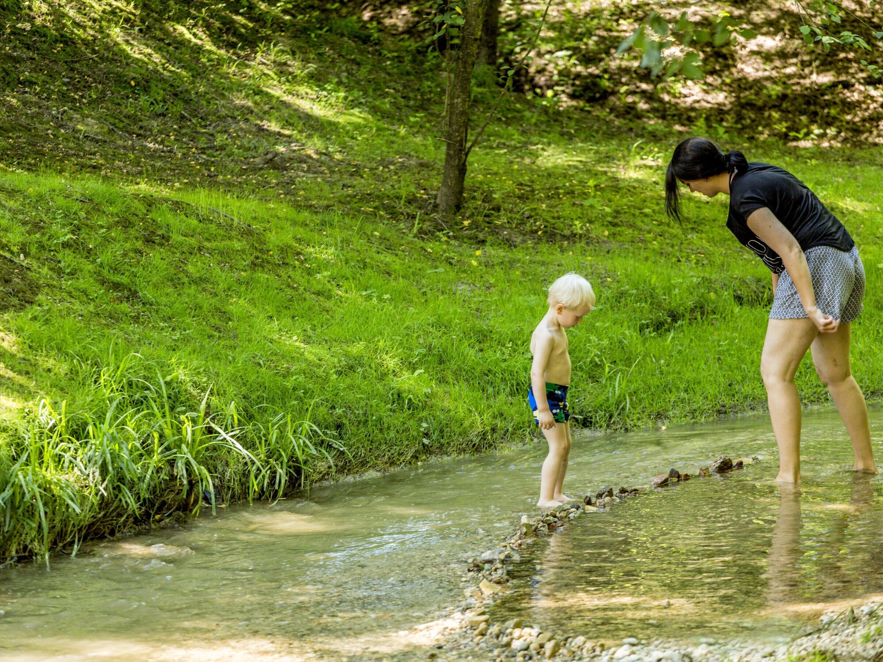 Een natuurlijke omgeving met een beek en groen.