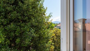 Una ventana con vistas a un follaje verde exuberante y una cordillera distante.