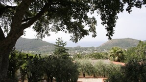 A garden with a stone pathway leading to a view of distant hills. - Romantic Escape w/ Terrace (Centola)