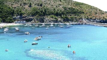 Rumah | Pemandangan dari properti