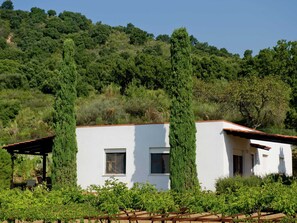 Maison | Extérieur