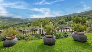 A lush garden with potted plants and a scenic view of rolling hills and a lake. - Dwelling in Renovated Barn near Birthplace of Michelangelo (Caprese Michelangelo)