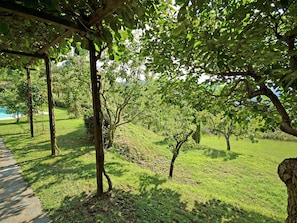 Huvila | Puutarha