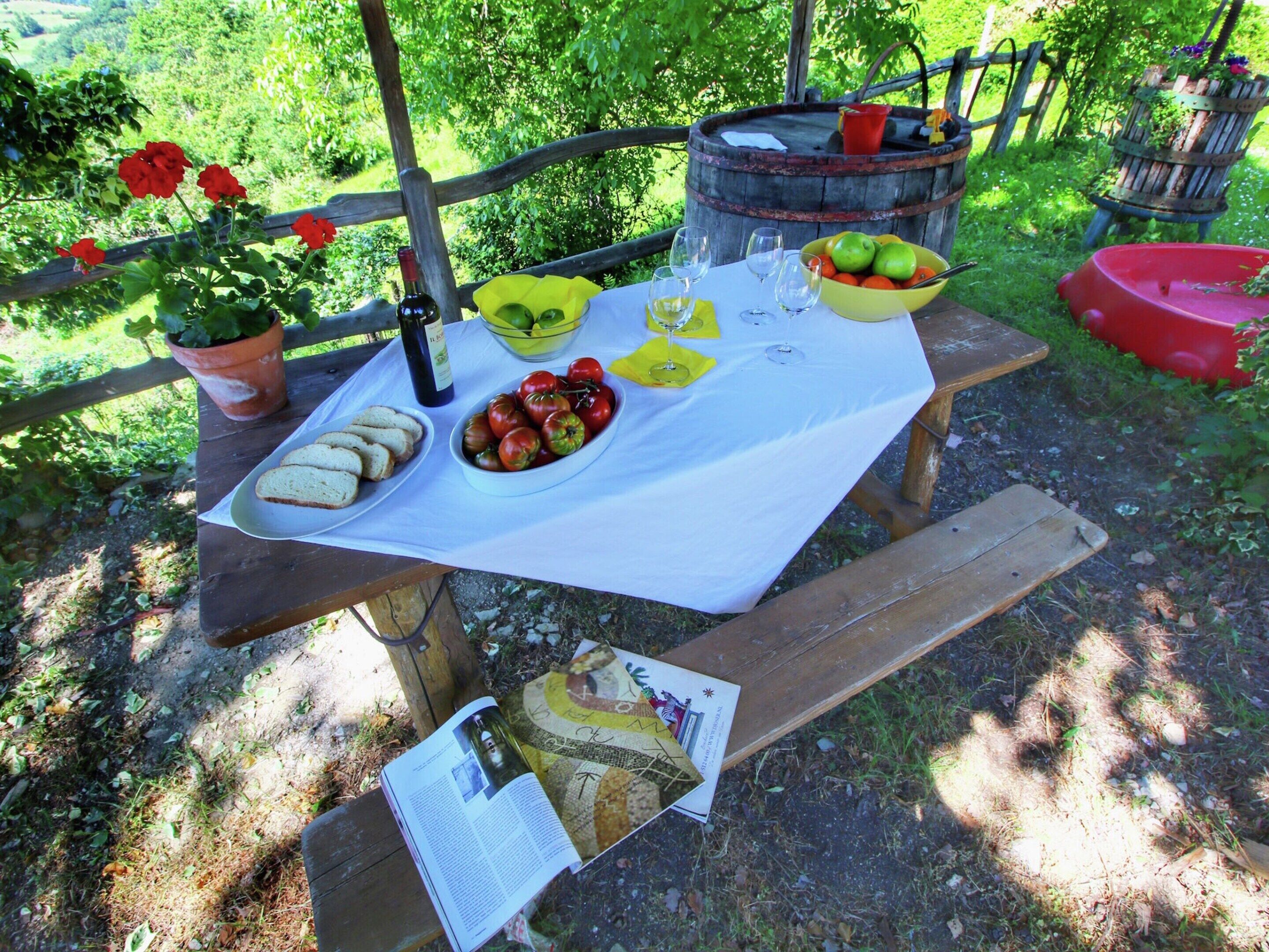 Un montaje para picnic con una mesa dispuesta para dos personas, que incluye pan, tomates y una botella de vino, rodeado de follaje.