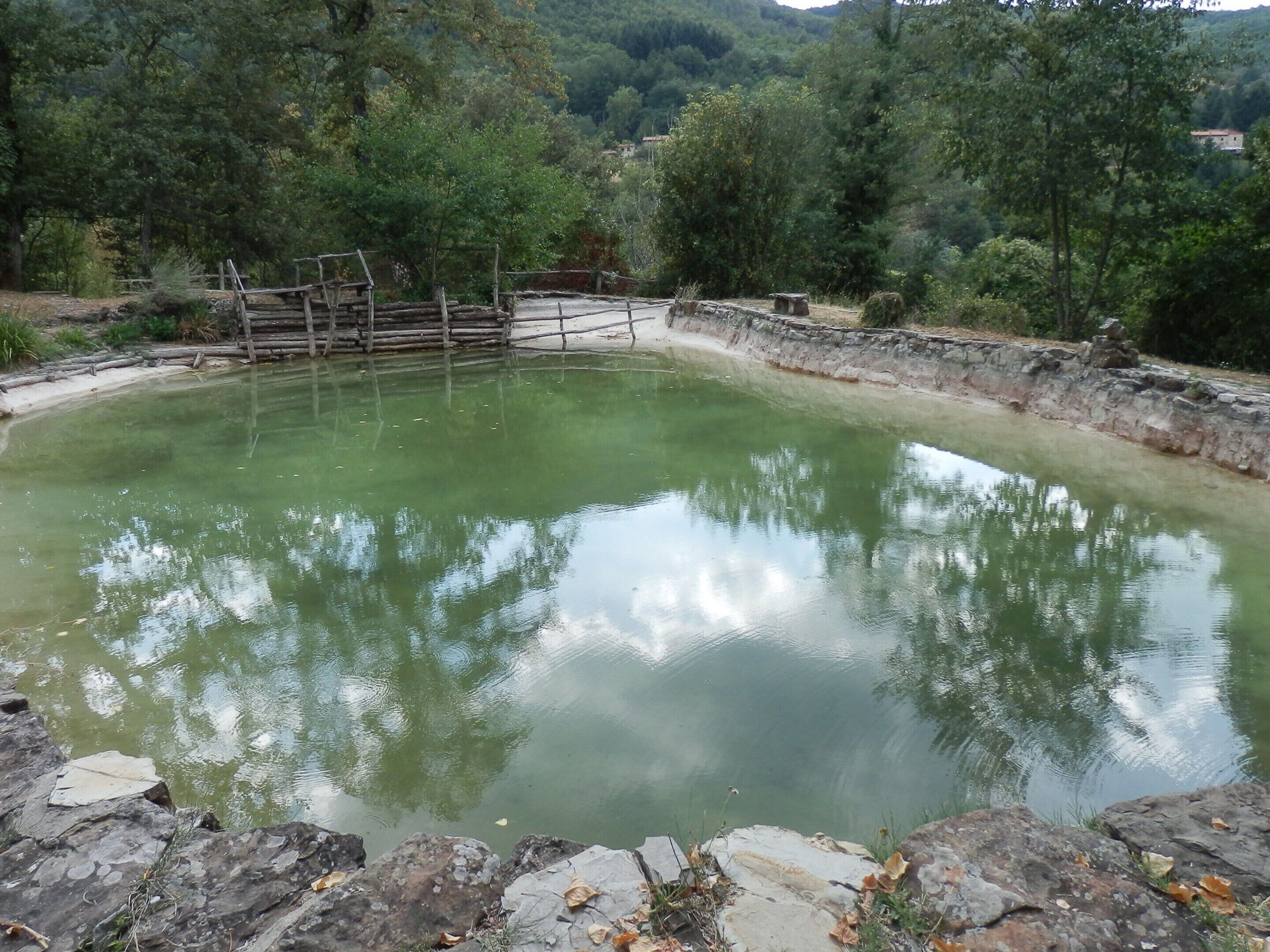 House | Pool | Outdoor pool