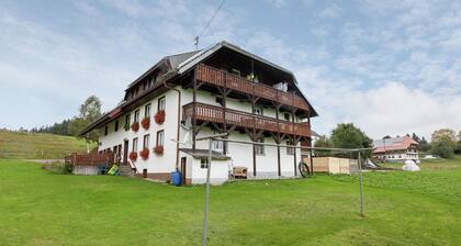 Cosy Apartment in the Black Forest With Balcony in an Idyllic Location