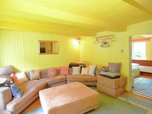 House | Living room | Fireplace, DVD player - Peaceful Holiday Home in Herzberg With Sauna (Herzberg am Harz)