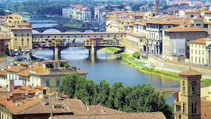 Unclassified image, 3 of 29, button - Attractive Apartment on Estate with Vineyards & Olive Grove near Florence (Reggello)