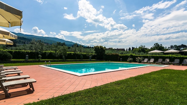 Unclassified image, 1 of 29, button - Attractive Apartment on Estate with Vineyards & Olive Grove near Florence (Reggello)