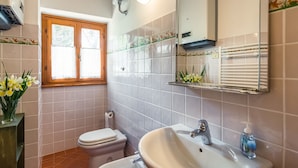 Unclassified image, 4 of 29, button - Attractive Apartment on Estate with Vineyards & Olive Grove near Florence (Reggello)