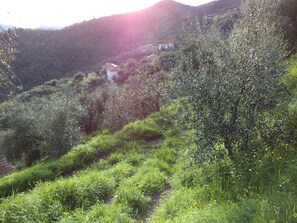 Exterieur