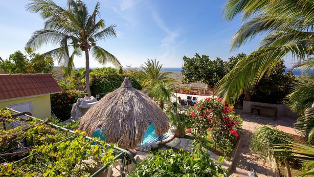 Un jardin tropical doté d’une structure à toit de chaume, de palmiers et d’une piscine.