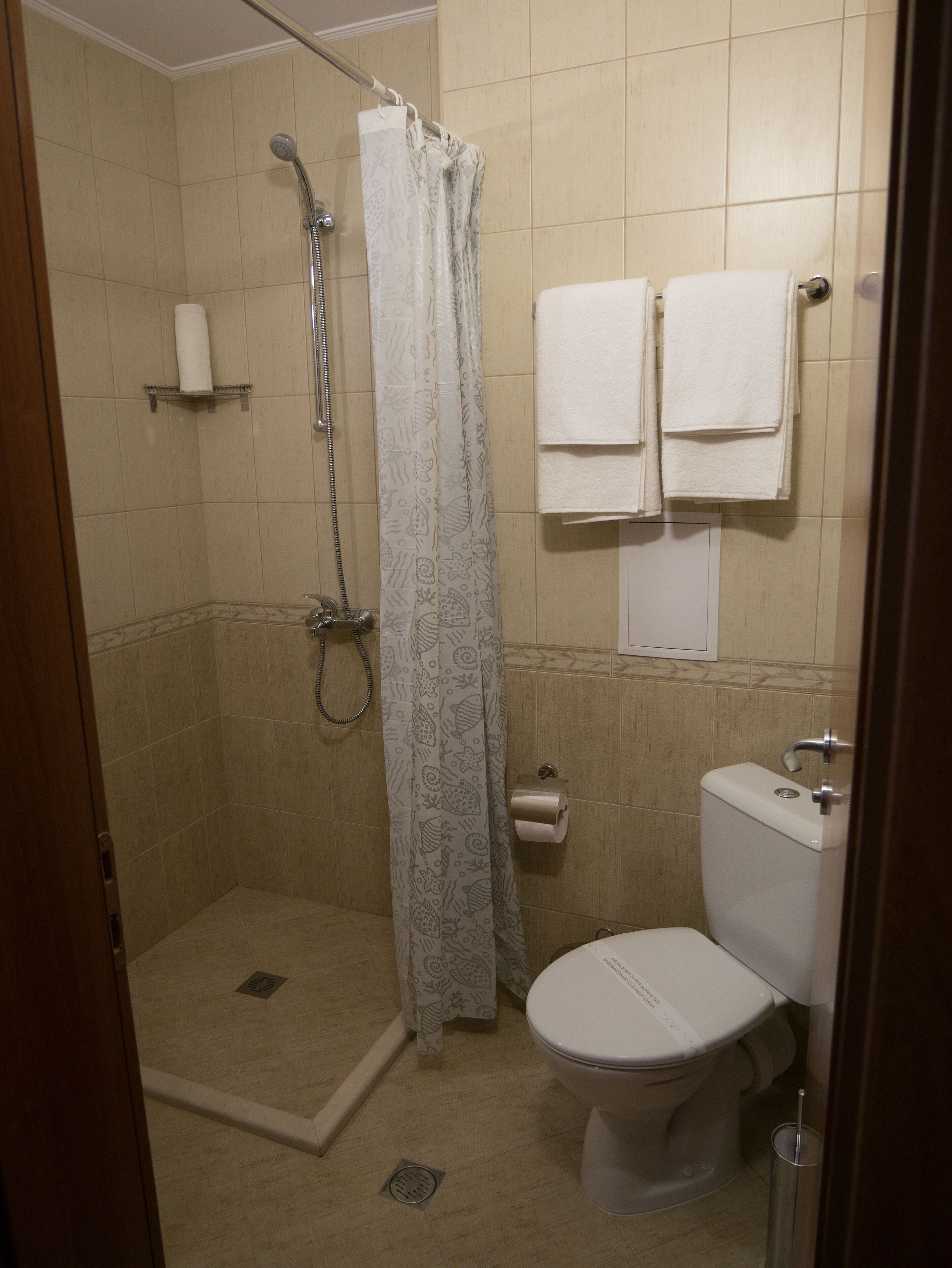 classic single room | bathroom | shower, hair dryer, towels, toilet paper
