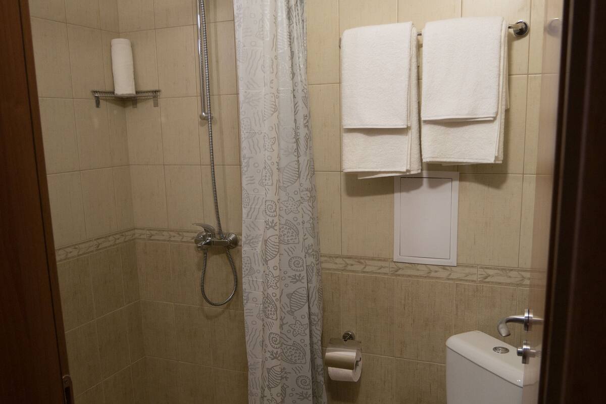classic single room | bathroom | shower, hair dryer, towels, toilet paper
